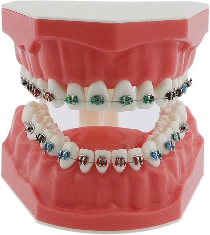Orthodontics